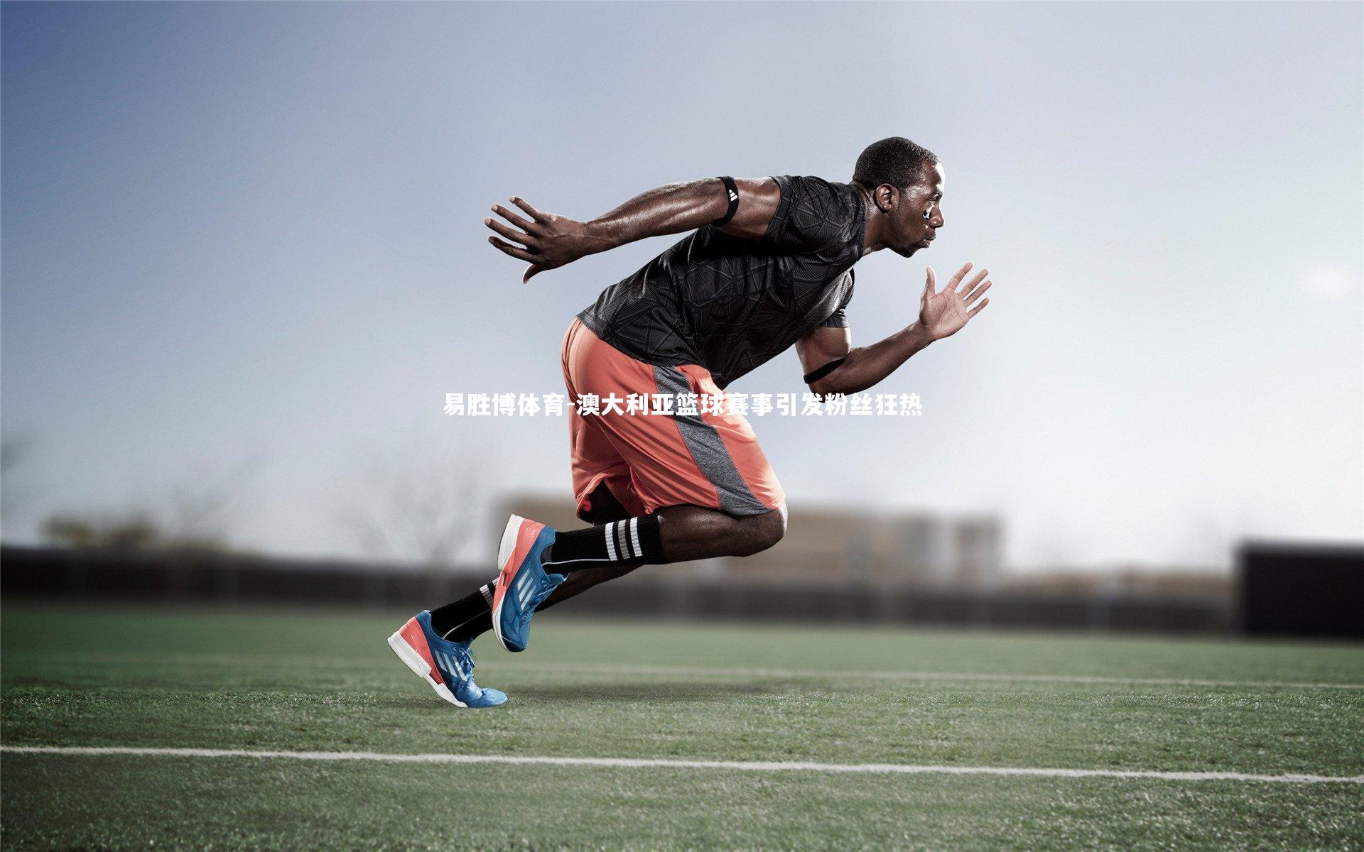 澳大利亚篮球赛事引发粉丝狂热