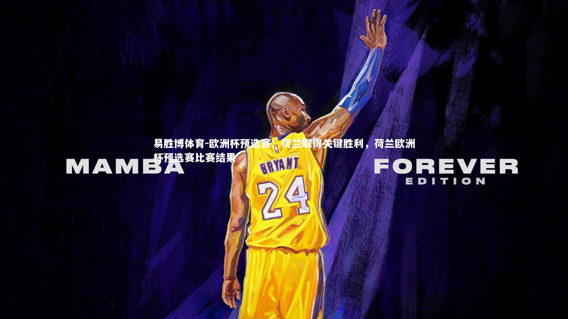 欧洲杯预选赛:荷兰取得关键胜利,荷兰欧洲杯预选赛比赛结果