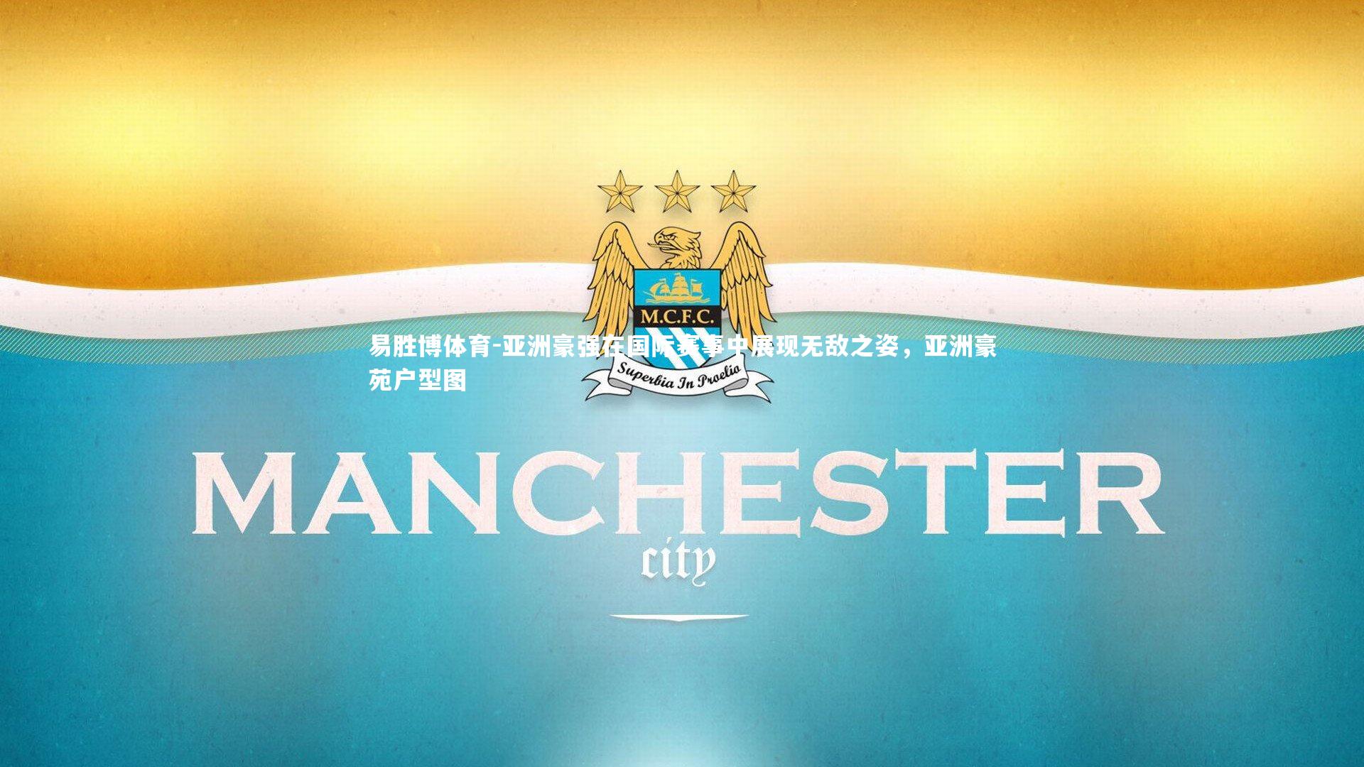 亚洲豪强在国际赛事中展现无敌之姿，亚洲豪苑户型图