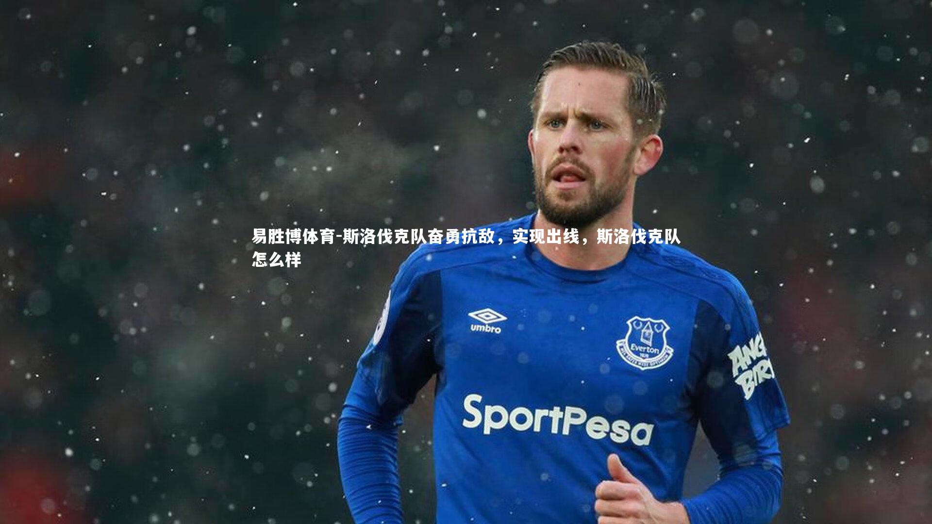 斯洛伐克队奋勇抗敌，实现出线，斯洛伐克队怎么样